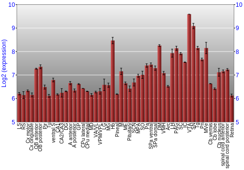 Expression graph