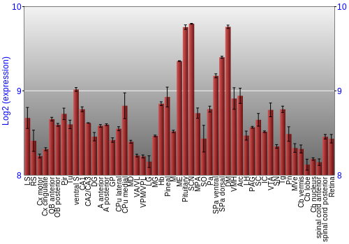 Expression graph
