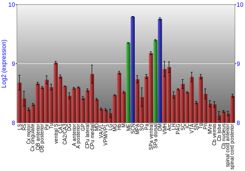 Multi-state expression graph