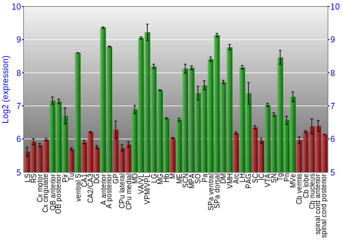 Multi-state expression graph