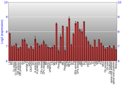 Expression graph