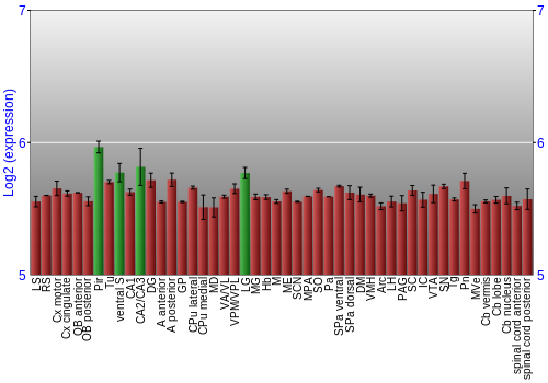 Multi-state expression graph