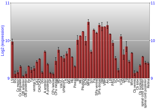 Expression graph