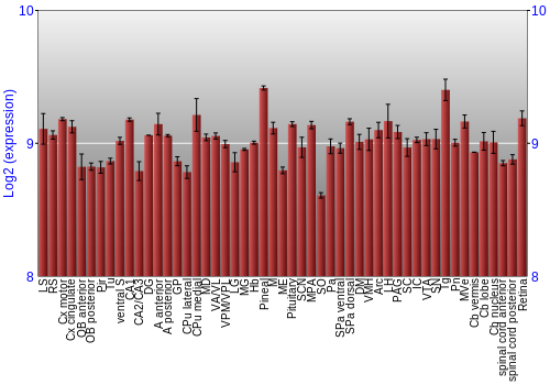 Expression graph