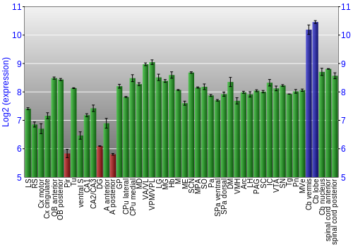 Multi-state expression graph