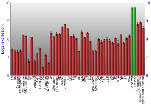 Multi-state expression graph