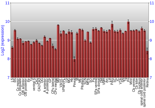 Expression graph