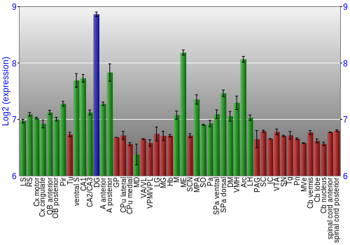 Multi-state expression graph