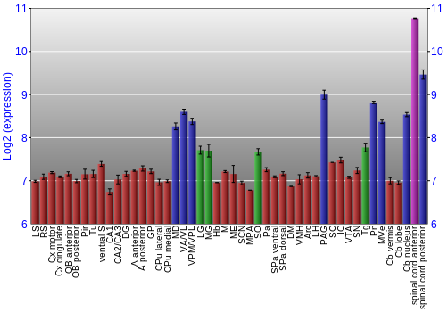 Multi-state expression graph