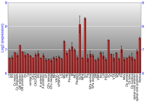 Expression graph