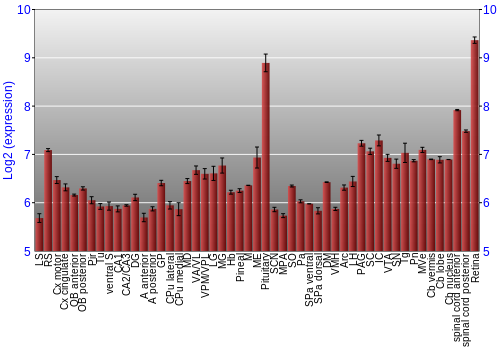 Expression graph