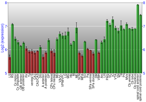 Multi-state expression graph