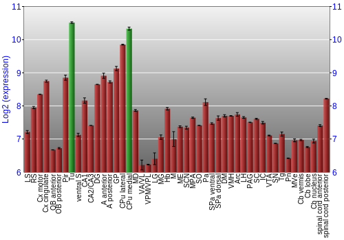 Multi-state expression graph