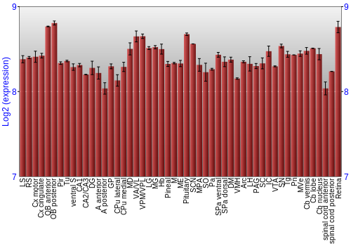 Expression graph