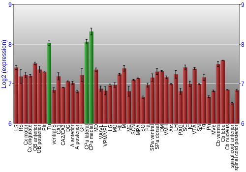 Multi-state expression graph