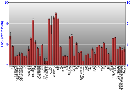 Expression graph
