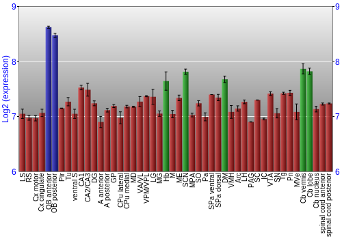 Multi-state expression graph