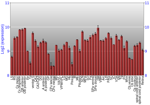 Expression graph