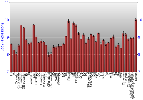 Expression graph