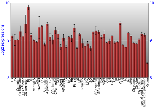 Expression graph
