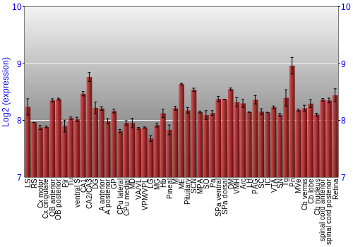 Expression graph