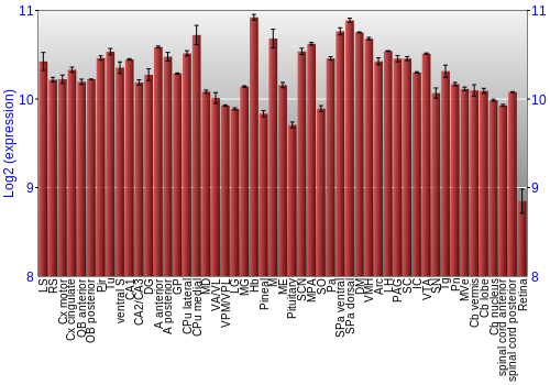 Expression graph