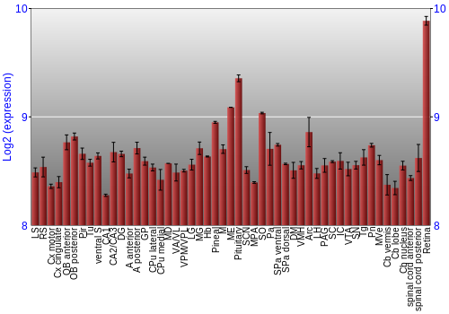 Expression graph