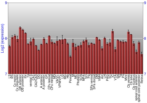 Expression graph