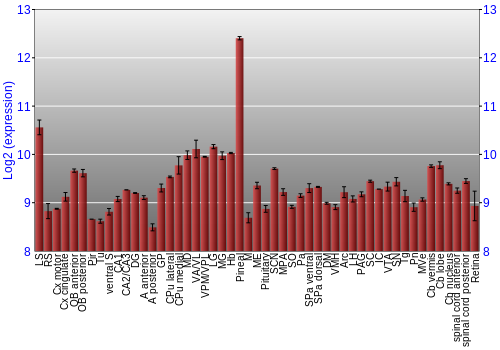 Expression graph