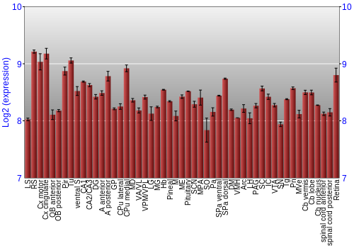 Expression graph