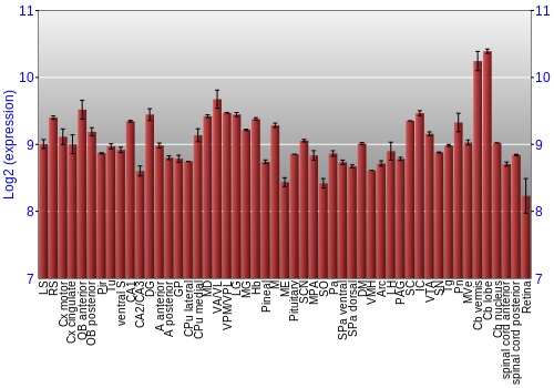 Expression graph