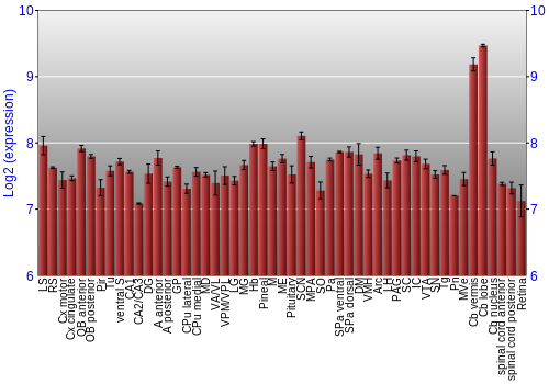 Expression graph
