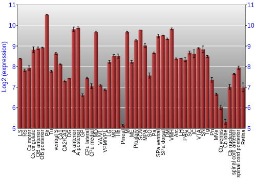 Expression graph