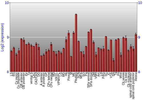 Expression graph