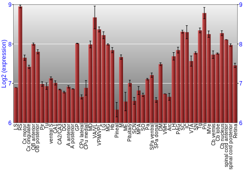 Expression graph