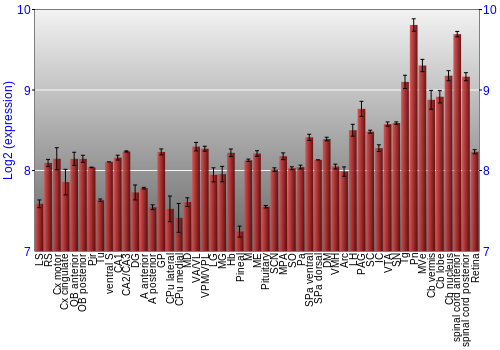 Expression graph