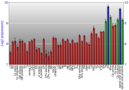 Multi-state expression graph