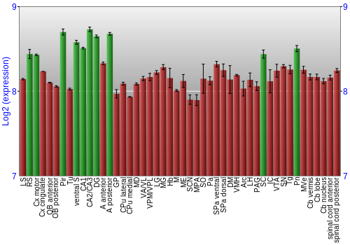 Multi-state expression graph