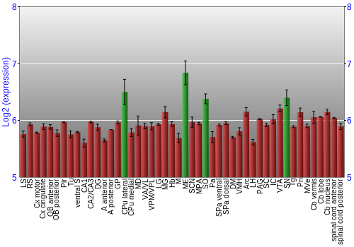 Multi-state expression graph