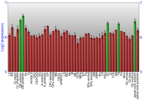 Multi-state expression graph