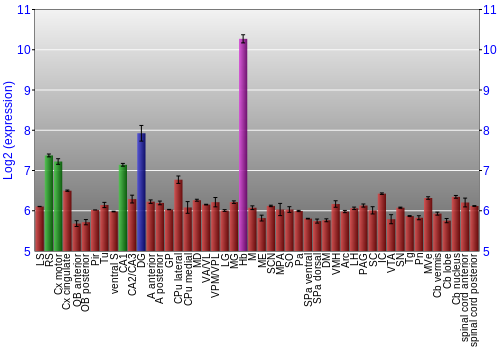 Multi-state expression graph