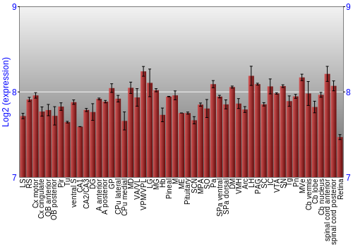 Expression graph