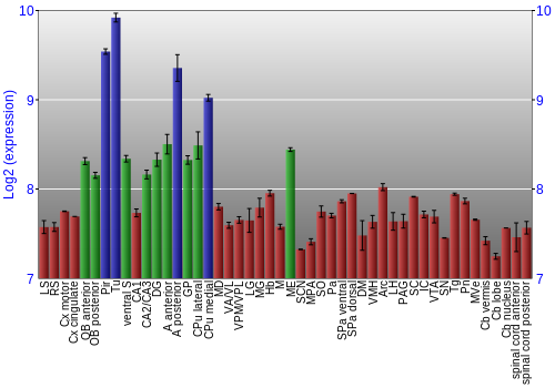 Multi-state expression graph