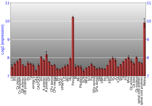 Expression graph