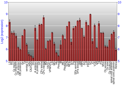 Expression graph