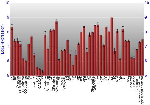 Multi-state expression graph
