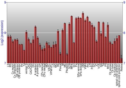 Expression graph