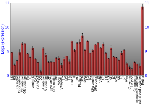 Expression graph