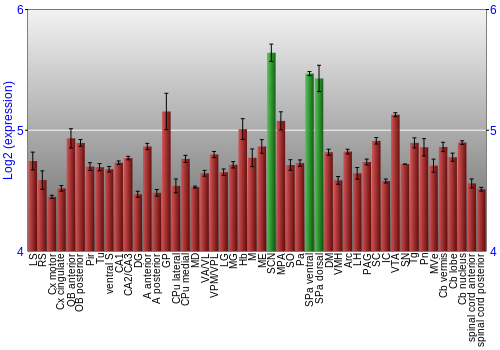Multi-state expression graph