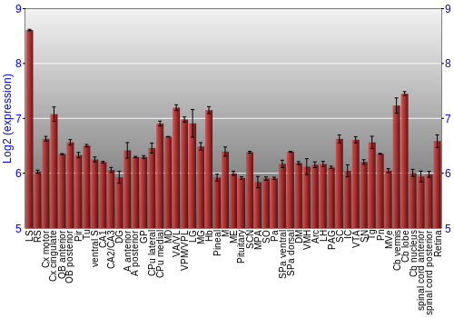 Expression graph